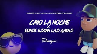 CAYO LA NOCHE GATAS Techengue  DJ Luc14no Antileo Ft DJ Cossio [upl. by Blumenfeld]