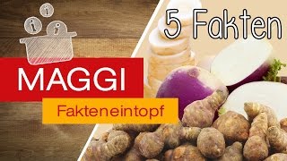 Gemüsesorten die nicht jeder kennt  MAGGI Fakteneintopf [upl. by Ilujna540]