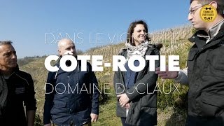 Dans le vignoble de CÔTEROTIE au Domaine Duclaux [upl. by Mohkos]