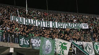 Video Tifo Avellino  Catanzaro 30102022 [upl. by Nodab]