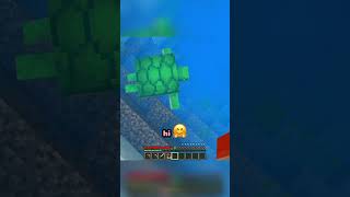 ill risk it all for the minecraft turtles 🥹 minecraft minecraftshorts gaming [upl. by Orabelle724]