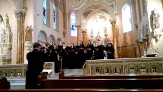 ProArte St Louis March 31 2019  Introit  Laetare Jerusalem [upl. by Andrey932]