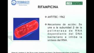 Hepatotoxicity Induced by Antituberculous Medications  Marie Claire Berrouet Mejia [upl. by Lumbard767]