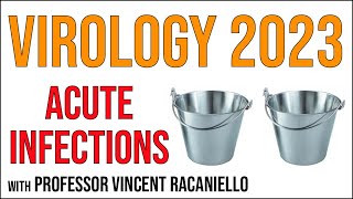 Virology Lectures 2023 16 Acute infections [upl. by Mal]