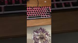 HyperX pudding keycaps on redragon k552 [upl. by Ellan]