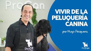 PELUQUERÍA CANINA Pomerania arreglo y uso cosméstica Iv San Bernard por Mª JOSÉ GUERRERO [upl. by Notsruht]