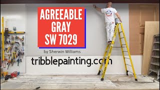 Agreeable Gray SW 7029 by Sherwin Williams [upl. by Gladis]