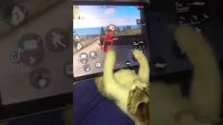 El Gato Que Juega Free Fire [upl. by Atnom]