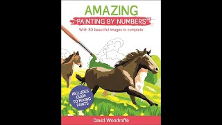 Flip Through Amazing Painting by Number Coloring Book [upl. by Hajar]