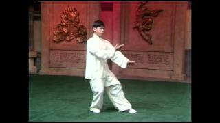 103 movements Yang Style Tai Chi form performed by Yang Jun [upl. by Alleen]