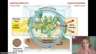 Izokrenuta učionica  Ekosistem [upl. by Zosima140]