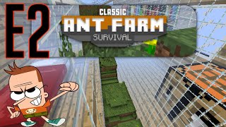 Ant Farm Survival E2 [upl. by Garibold]