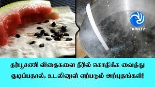 20 வருடத்திற்கு முன் காணாமல் போன நாயின் உடலை கண்டு அதிர்ச்சியடைந்த ஆராய்ச்சியாளர்கள் [upl. by Athalla]