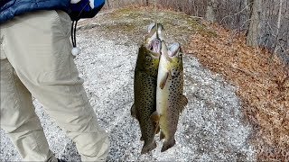 First Dibs on the TROUT  Spring Trout Stocking 2019  Long Island NY [upl. by Ali]