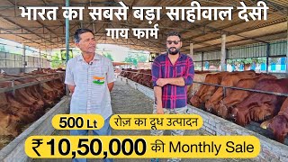 400 देसी गायों का डेयरी फार्म  dairy farm business sahiwal desi gay cow price training milking [upl. by Ahsinut910]