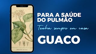 GUACO Mikania glomerata  Tenha sempre em Casa [upl. by Thurnau]