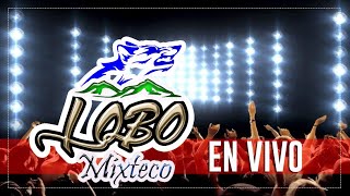 LOBO MIXTECO  EL REGRESO EN PISTA SAMAO [upl. by Neehcas307]