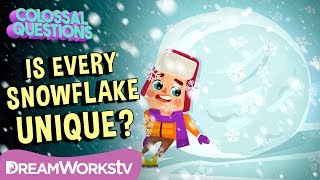 Is Every Snowflake Unique  COLOSSAL QUESTIONS [upl. by Parish]