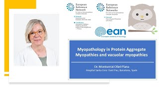 Myopathology in Protein Aggregate Myopathies and vacuolar myopathies [upl. by Nylodnarb657]