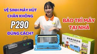 Hướng Dẫn Cách Vệ Sinh Bảo Trì Máy Hút Chân Không Gia Đình P290 Chuẩn Sách Giáo Khoa [upl. by Ikey]