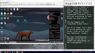 Puppy Linux Fossapup Firefox Installation  With functioning audio [upl. by Gulgee]