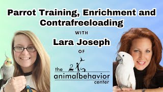 Parrot Training Enrichment and Contrafreeloading with Lara Joseph of The Animal Behavior Center [upl. by Mir]