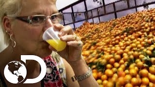 Dentro de una fábrica de jugo de naranja  ¿Cómo lo hacen  Discovery Latinoamérica [upl. by Nnaitak]