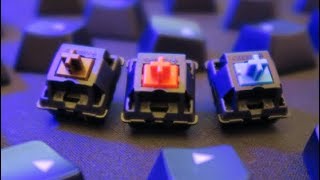 Mechanical Switch Comparison Sound Only [upl. by Verne]