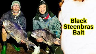 Bait Demo Poenskop  Black Steenbras  Black Musselcracker [upl. by Sommers355]