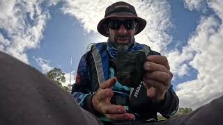 Lake Wivenhoe Fishing Branch Creek tilapia pestfishing [upl. by Dworman]