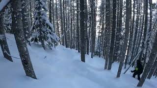 Beaver Creek Powder Day Weekend Skiing [upl. by Sidonnie]