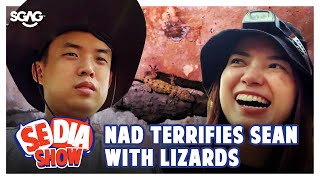 Nadia Terrifies Sean with Lizards  SGAG [upl. by Osnofledi]