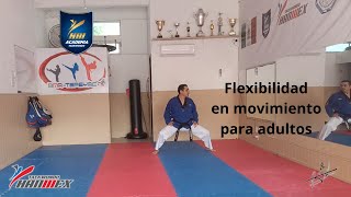 🔥Flexibilidad en movimiento para adultos adultosfelices adultos clasesparaadultos mas40 mas50 [upl. by Mcclish881]