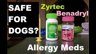 1 Allergy Meds for Dogs [upl. by Herates]