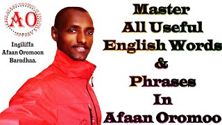 Modal verbs in English learn using Afaan Oromoo all about it Part  1 [upl. by Ynohtnanhoj]