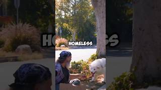 Homeless Man Accused of stealing a Dog [upl. by Nalda911]