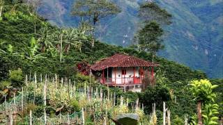 PERDIDO EN LAS COPAS ROMULO CAICEDO CARRILERA SIN ANIMO DE LUCRO [upl. by Gnirol]