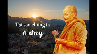 Tại sao chúng ta ở đây  Thiền Sư Ajahn Chah [upl. by Eico]