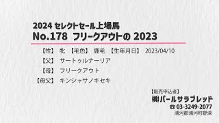 【セレクトセール2024】No178 フリークアウトの2023 父サートゥルナーリア [upl. by Asp]