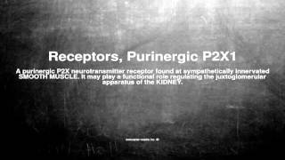 Medical vocabulary What does Receptors Purinergic P2X1 mean [upl. by Oryaj124]