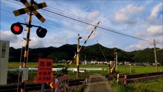 踏み切り Railway Crossing in Japan [upl. by Eibur288]