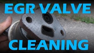 Honda EGR Valve Cleaning [upl. by Deelaw]