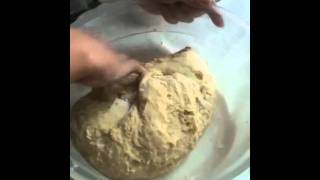 Kneading bread in bowl [upl. by Ddet]