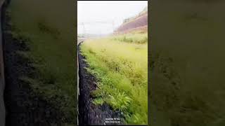 Goa to dehli Safar train view shortsvideo safar [upl. by Ayhtnic]