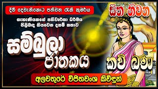 සම්බුලා ජාතකය  Sambula Jathakaya  Kavi Bana  සිත නිවන කවි බණ  Sitha Niwana Kavi Bana [upl. by Eiroj]