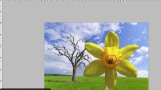 Adobe Photoshop CS3 Tutorial Quick Selection Tool [upl. by Curran]