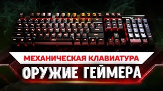 КЛАВИАТУРА HYPERX ALLOY FPS  ОБЗОР ФИШКИ ТЕСТ SOUND TEST ALLOY FPS CHERRY RED BROWN BLUE [upl. by Neale701]