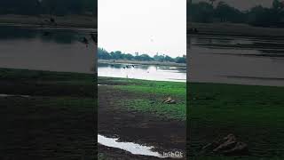 Sorgame Endralum song WhatsApp status tirunelveli [upl. by Betthezul]