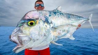 Most PRIZED Deep Sea Fish Catch Clean Cook African Pompano [upl. by Duester]