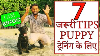 Labrador Puppy Training Tips  7 Dog Training Basics for New Owners Hindi Smart Dog Training 4k [upl. by Nivek73]